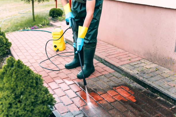 Best Driveway Cleaning and Restoration in Roebuck, SC